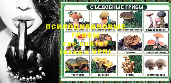PSILOCYBIN Михайлов