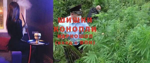 PSILOCYBIN Михайлов