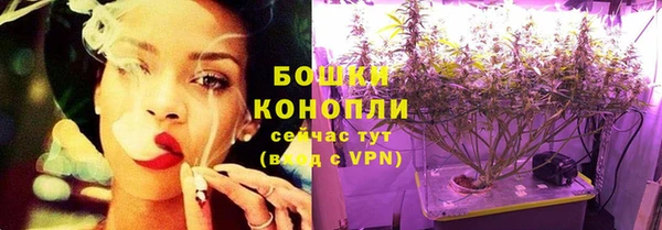 PSILOCYBIN Михайлов
