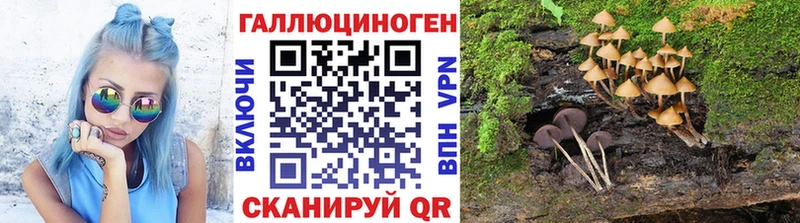 Псилоцибиновые грибы MAGIC MUSHROOMS  Онега 